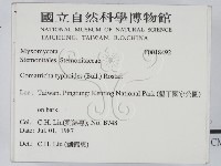 登錄號:F0018492藏品圖，第2張