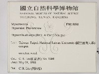 登錄號:F0018494藏品圖，第2張