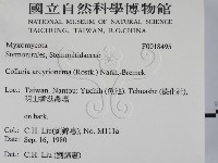登錄號:F0018495藏品圖，第2張