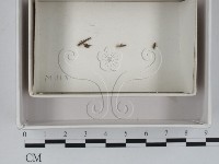 登錄號:F0018495藏品圖，第1張