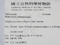 登錄號:F0018496藏品圖，第2張