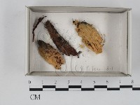 登錄號:F0018496藏品圖，第1張