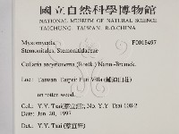 登錄號:F0018497藏品圖，第2張