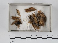 登錄號:F0018497藏品圖，第1張