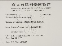 登錄號:F0018498藏品圖，第2張