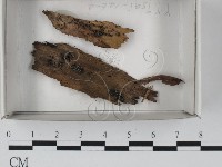 登錄號:F0018498藏品圖，第1張