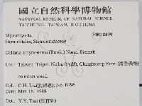 登錄號:F0018499藏品圖，第2張