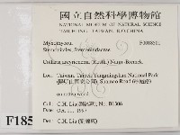 登錄號:F0018501藏品圖，第2張