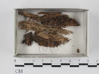 登錄號:F0018501藏品圖，第1張