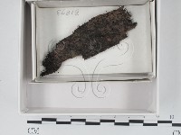 登錄號:F0018502藏品圖，第1張