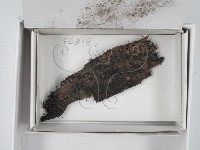 登錄號:F0018502藏品圖，第3張