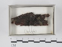 登錄號:F0018503藏品圖，第1張