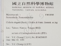 登錄號:F0018505藏品圖，第2張