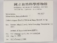 登錄號:F0018507藏品圖，第2張