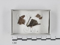 登錄號:F0018511藏品圖，第1張