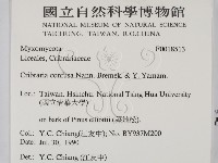 登錄號:F0018513藏品圖，第2張
