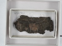 登錄號:F0018513藏品圖，第1張