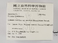 登錄號:F0018514藏品圖，第2張