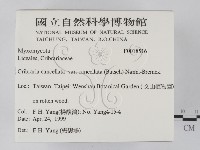 登錄號:F0018516藏品圖，第2張