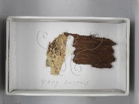 登錄號:F0018516藏品圖，第1張