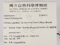 登錄號:F0018517藏品圖，第2張