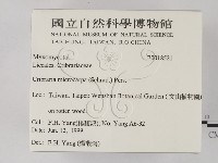 登錄號:F0018521藏品圖，第2張