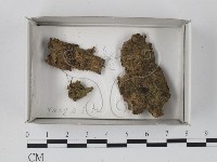 登錄號:F0018521藏品圖，第1張