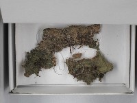 登錄號:F0018523藏品圖，第1張