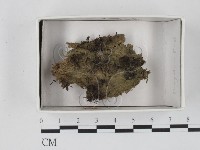 登錄號:F0018524藏品圖，第1張