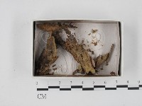 登錄號:F0018525藏品圖，第1張