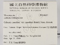 登錄號:F0018527藏品圖，第2張