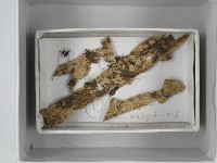 登錄號:F0018527藏品圖，第1張