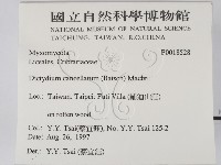 登錄號:F0018528藏品圖，第2張