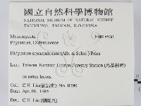 登錄號:F0018530藏品圖，第2張