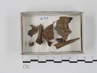 登錄號:F0018531藏品圖，第1張