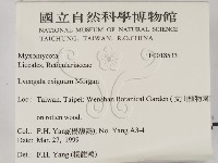 登錄號:F0018533藏品圖，第2張