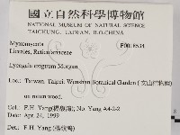 登錄號:F0018534藏品圖，第2張