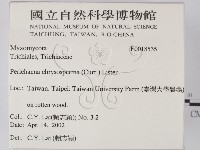 登錄號:F0018535藏品圖，第2張