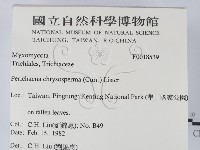 登錄號:F0018539藏品圖，第2張
