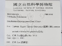 登錄號:F0018540藏品圖，第2張