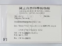登錄號:F0018541藏品圖，第2張
