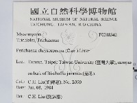 登錄號:F0018542藏品圖，第2張