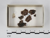 登錄號:F0018543藏品圖，第1張