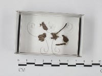 登錄號:F0018545藏品圖，第1張