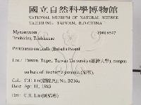 登錄號:F0018547藏品圖，第2張