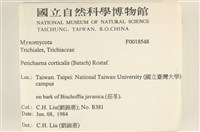 登錄號:F0018548藏品圖，第2張