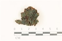 登錄號:F0018548藏品圖，第1張