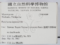 登錄號:F0018549藏品圖，第2張