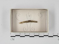 登錄號:F0018550藏品圖，第1張