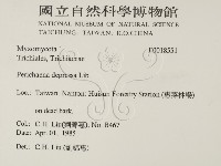 登錄號:F0018551藏品圖，第2張
